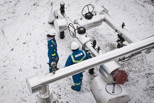 構(gòu)建專業(yè)品牌形象 Allnorth工程技術(shù)服務(wù)咨詢公司的全方位視覺與數(shù)字體驗設(shè)計