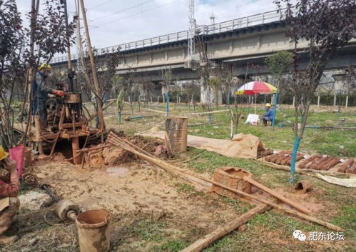 沿江高鐵肥東段迎關鍵節點 店埠河特大橋啟動勘測，為2020年開工建設鋪路